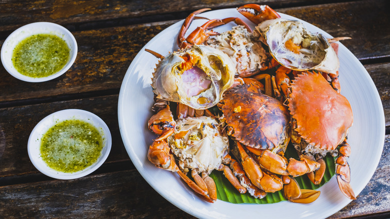 Whole crabs are pictured on a white plate with little bowls of melted herb butter.