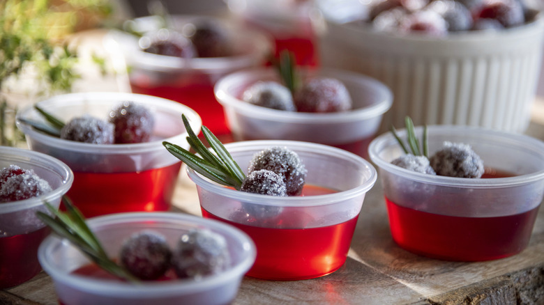 Mutliple jello shots topped with sugared cherries and rosemary.