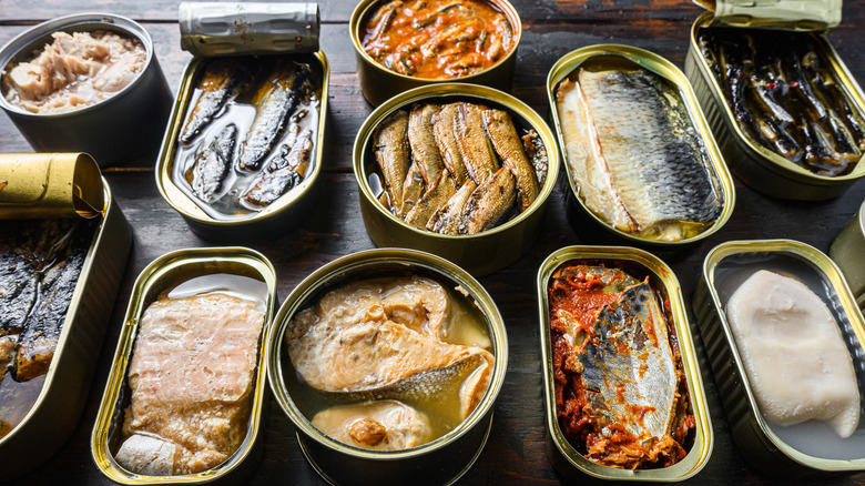 Various open cans of different fish.