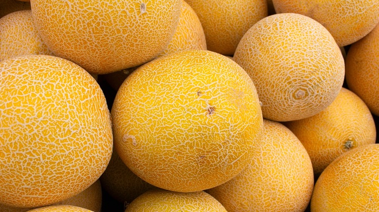Pile of Galia melons at a market