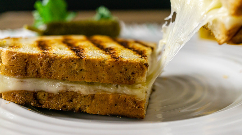 A melty grilled cheese sandwich with an excellent cheese pull.