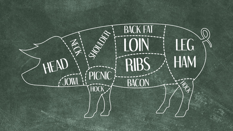 A diagram showing the different cuts on a pig