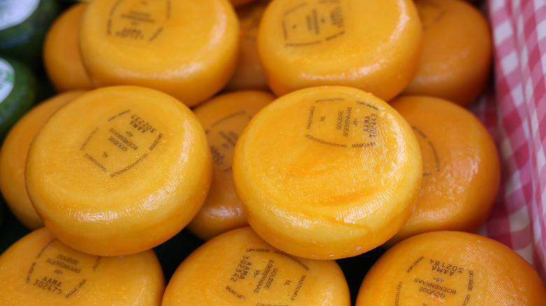 stacks of gouda cheese with stamps on rinds