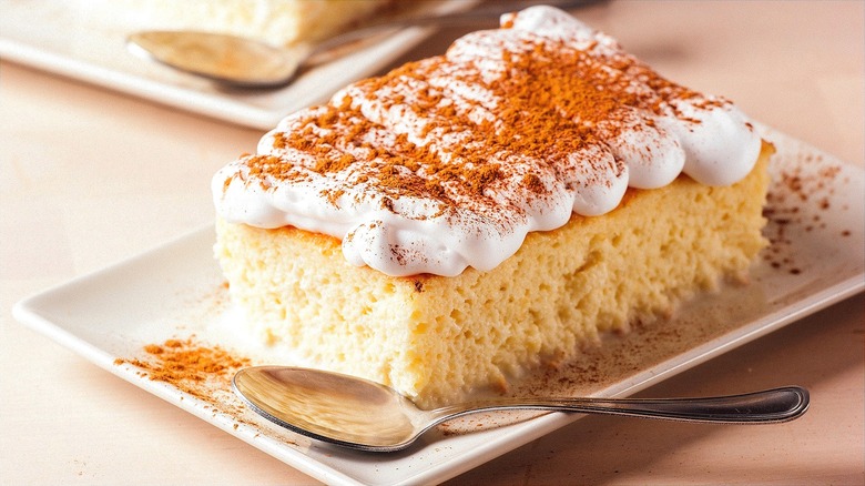 Rectangular piece of tres leches cake with whipped cream and cinnamon on a white plate with a metal spoon
