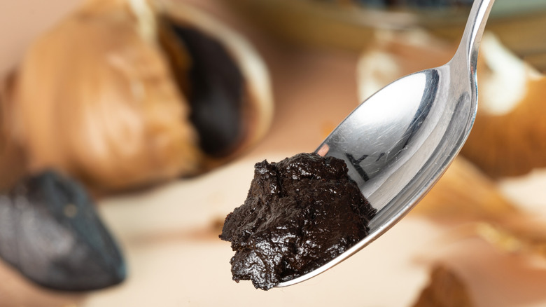 Black garlic in spoon