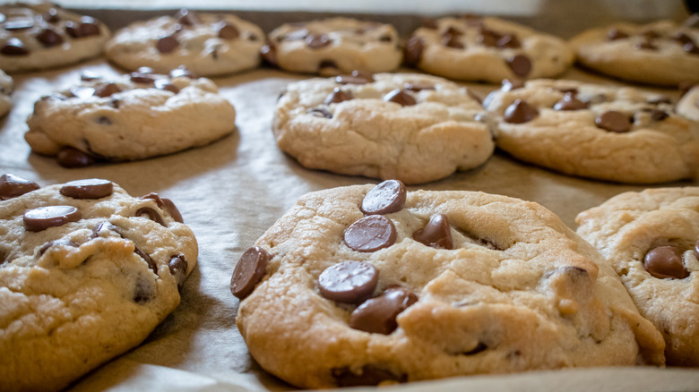 A tray of baked chocolate chip cookies.