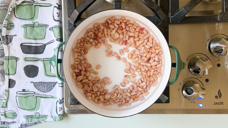 Cranberry beans and water in pot on stove