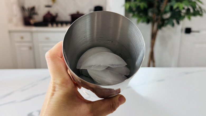Ice in a cocktail shaker
