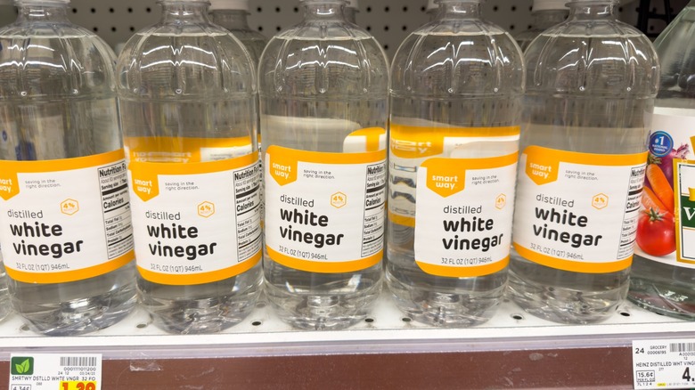 Bottles of distilled white vinegar lined up on a store shelf.
