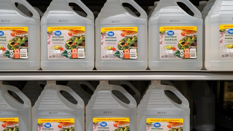 Jugs of Great Value white vinegar lined up on shelves at a Walmart store.