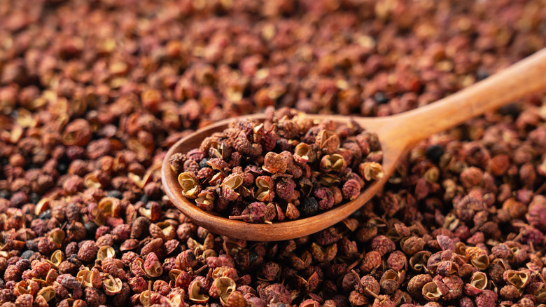 Red Sichuan peppercorns on a spoon