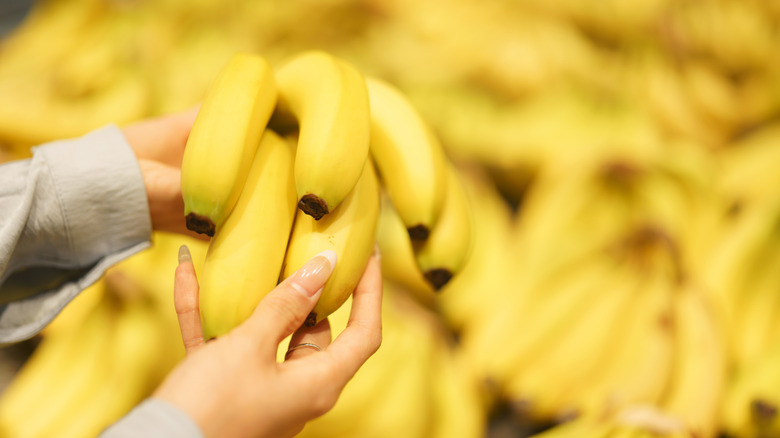Woman holding a bunch of bananas