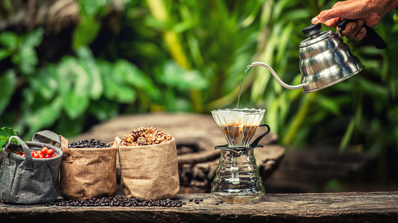 A person pouring kopi luwak into a pour-over filter coffee pot