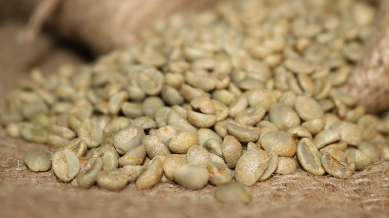 Dried white coffee beans from Yemen