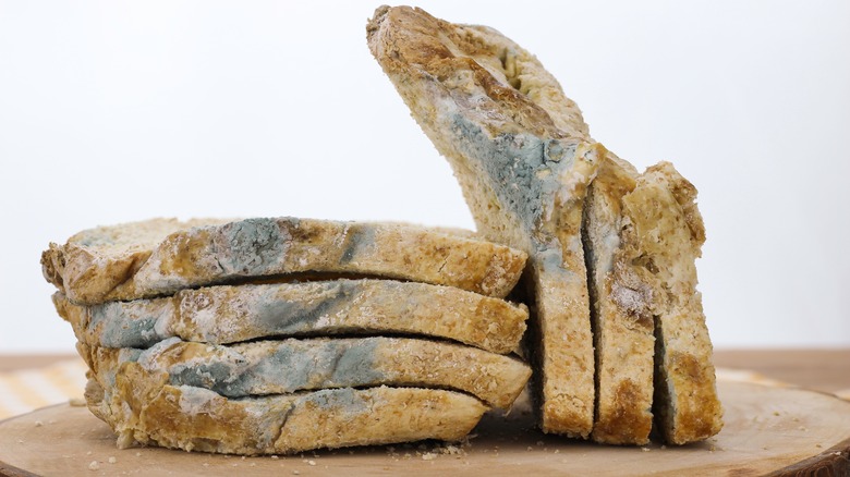 Moldy bread on cutting board