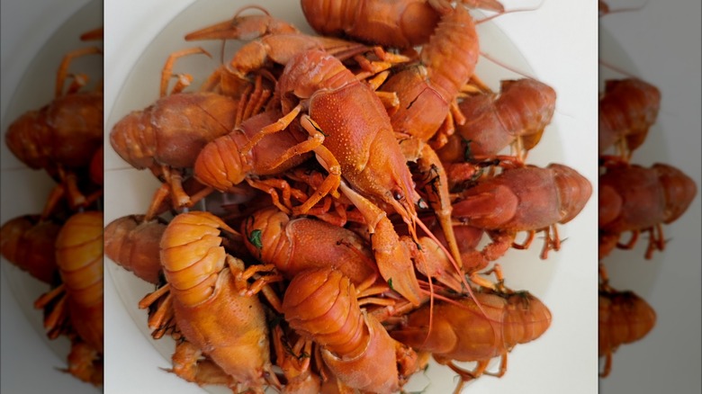 A close up showing the texture of a pile of crawfish