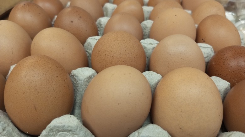 Eggs in carton