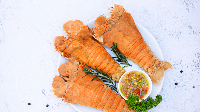 Flathead lobster shrimps served on a white plate with a ramekin of seafood sauce