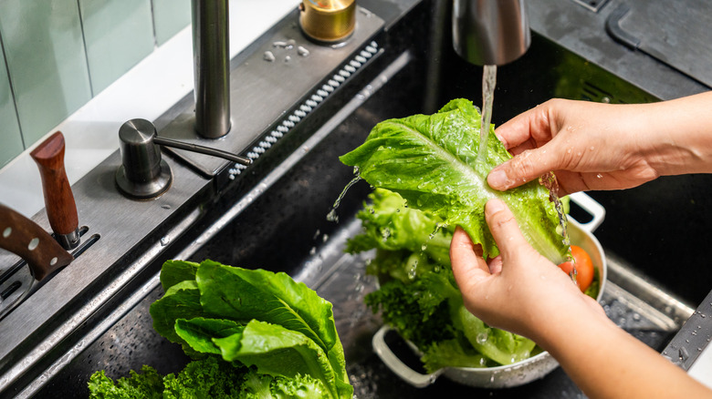 Lettuce being washed under tap water in the kitchen sink
