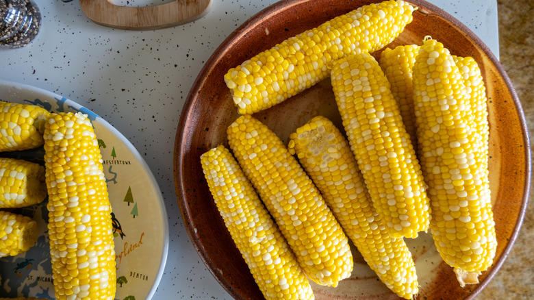 Corn on the cob stacked into shallow dishes.