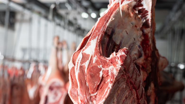 Beef carcasses hanging in cold storage