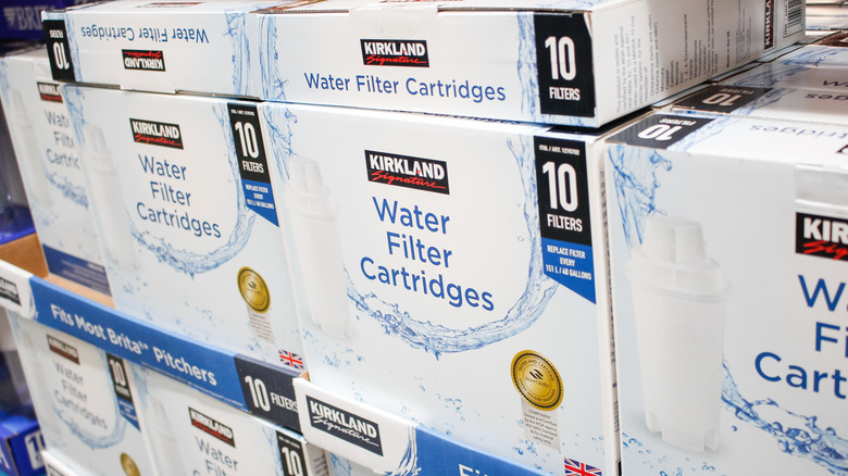 Kirkland water filters