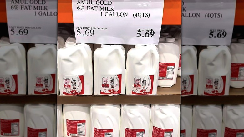 Gallons of Amul Gold 6% milk at Costco for $5.69