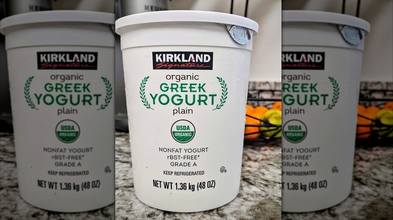 Bowl of Greek yogurt