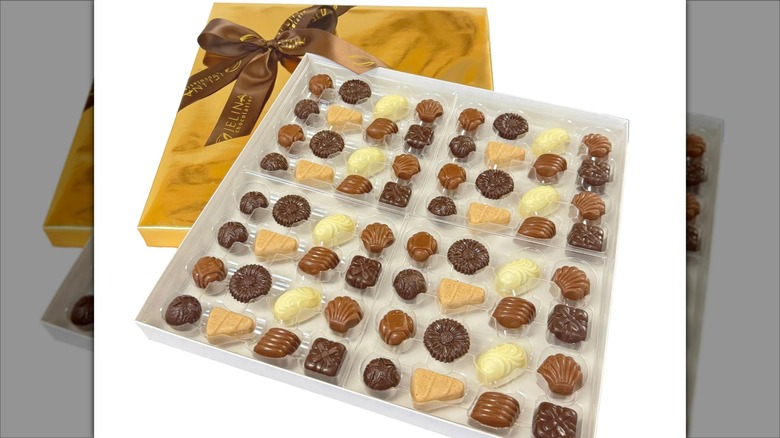 Jelina Chocolatier Handcrafted Chocolates Gift Box featuring various chocolates.