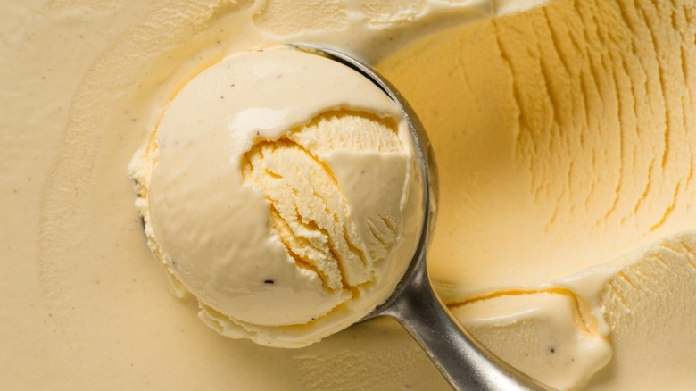 close up of a scoop taking out a ball of ice cream