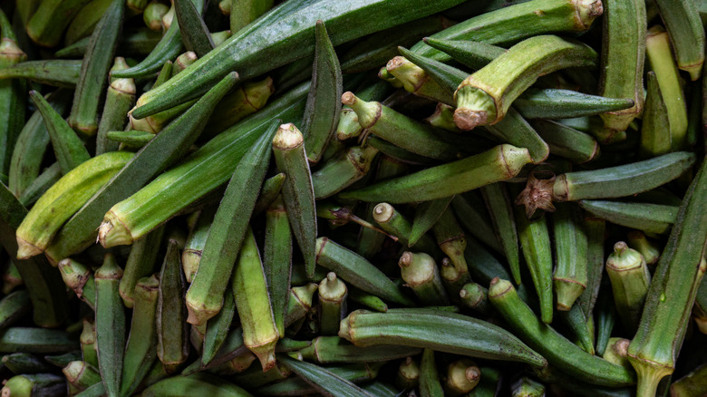 Fresh Organic Green Okra or Lady fingers