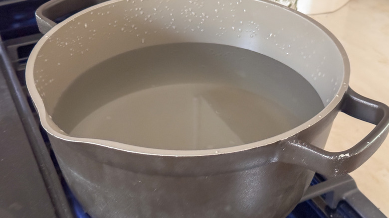 Pot of water on stove