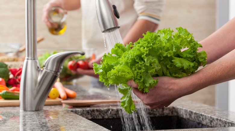 A person's hands are seen washing produce in a sink.