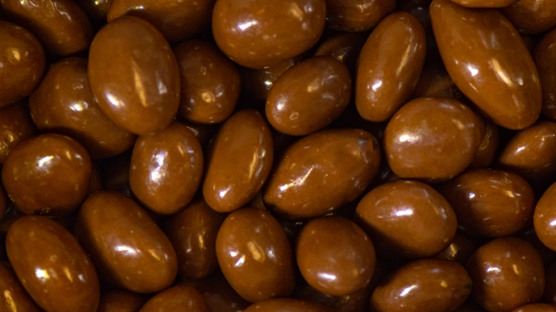 dark chocolate covered almonds