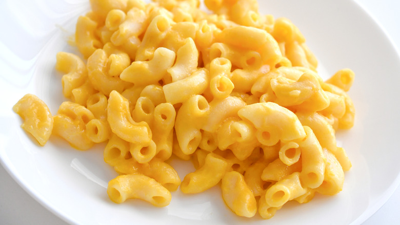 Macaroni and cheese on a white plate