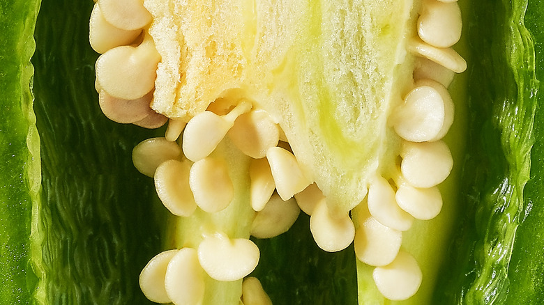 Jalepeño seeds inside pepper
