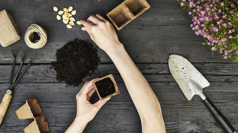 hands planting seeds for growing