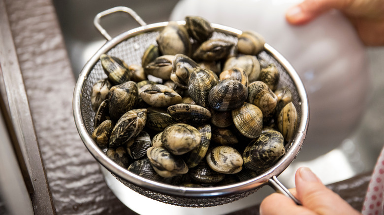 A person's hands are seen rinsing clams in a colander.