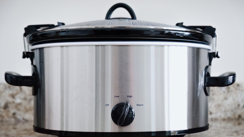 Stainless steel slow cooker on countertop