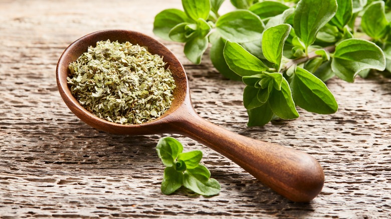 Dried oregano on a wooden spoon, sitting next to a stem of an oregano plant.