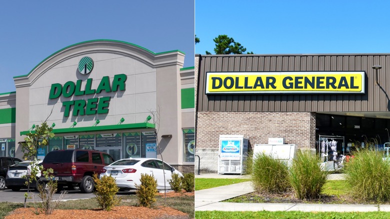 A split picture of the exterior to a Dollar Tree and the exterior to a Dollar General both on sunny days