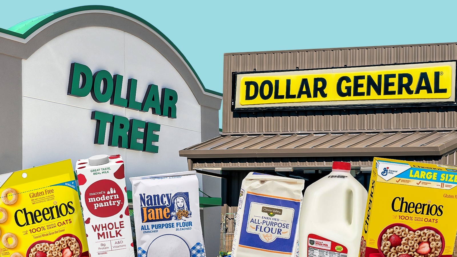 Dollar Tree Or Dollar General: Which Has More Affordable Grocery Items?