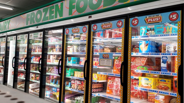 The frozen foods section inside of a Dollar Tree store