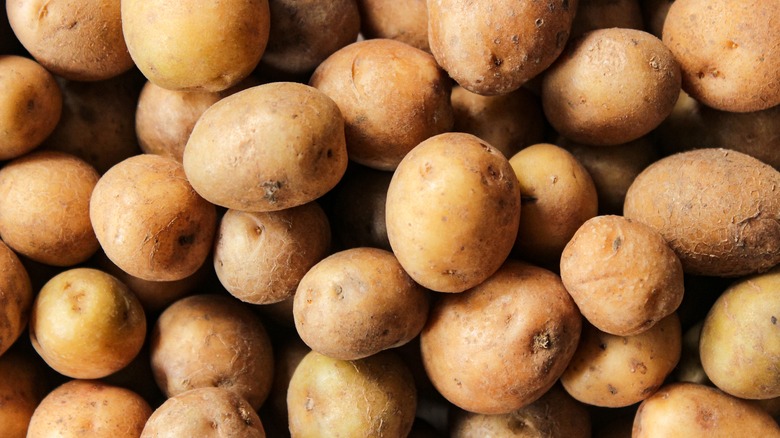 Close up of a large pile of small, golden potatoes