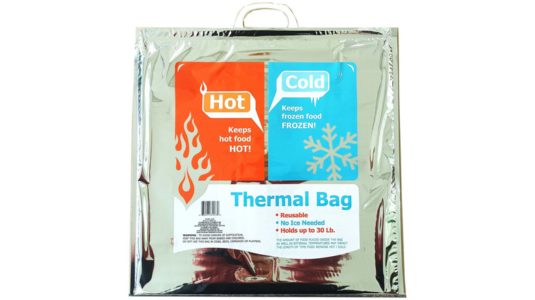 Thermal bag from Dollar Tree on a white background.