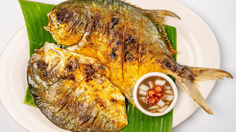 two bangus fish on a white plate