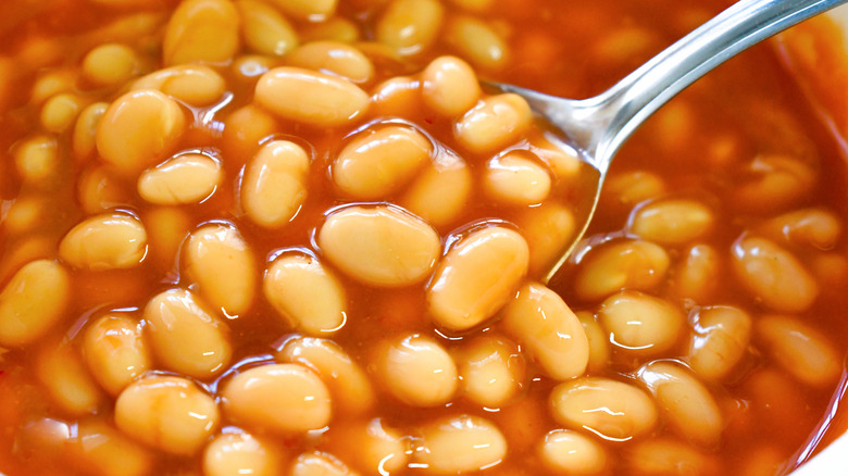 Baked beans in tomato sauce in a bowl on a spoon.
