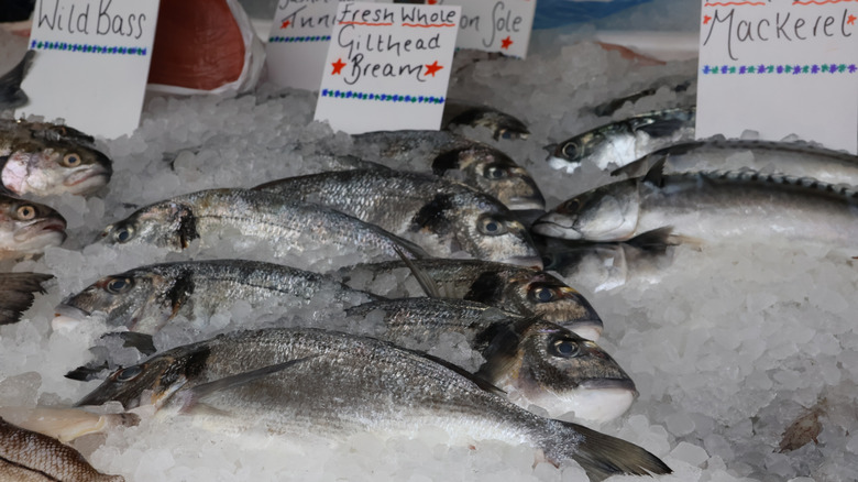 Fresh fish at the fish market in ice