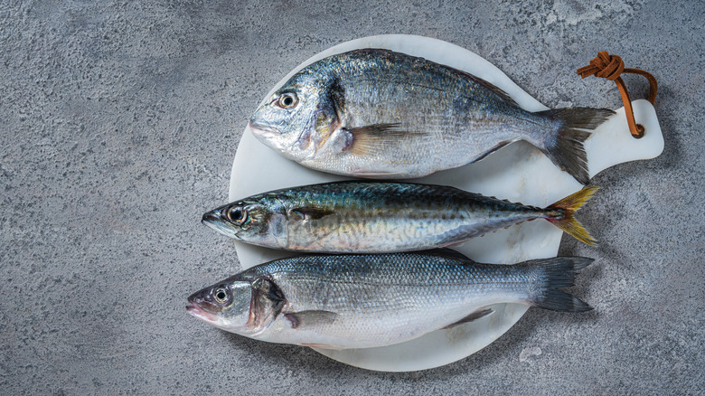 three types of fresh fish on a white cutting board