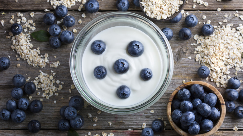 Blueberries decorate a bowl of yogurt surrounded by oats